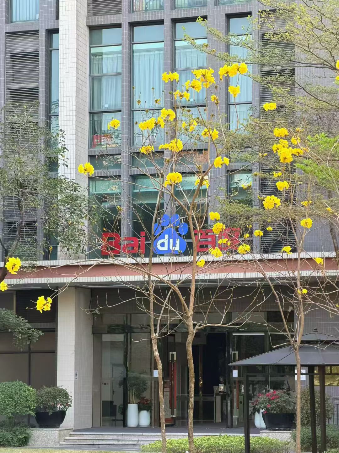 百度公司大楼实拍照